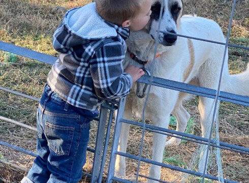 Jenny’s Little Ranch Hands