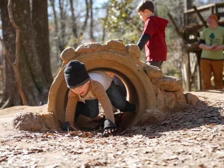 Woodland Wonders Nature Preschool4